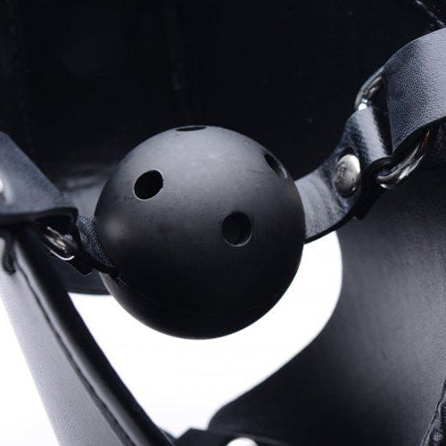 Master Series Pup puppy hood with breathable ball gag